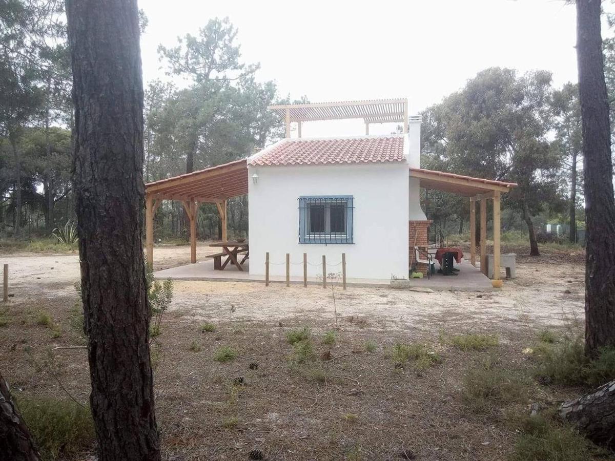 Casa Do Pinheiro - Parque Natural Da Ria Formosa. 타비라 외부 사진