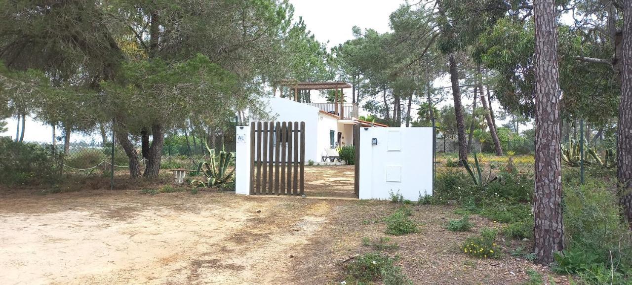 Casa Do Pinheiro - Parque Natural Da Ria Formosa. 타비라 외부 사진