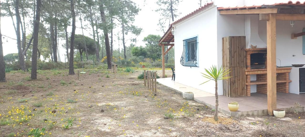 Casa Do Pinheiro - Parque Natural Da Ria Formosa. 타비라 외부 사진