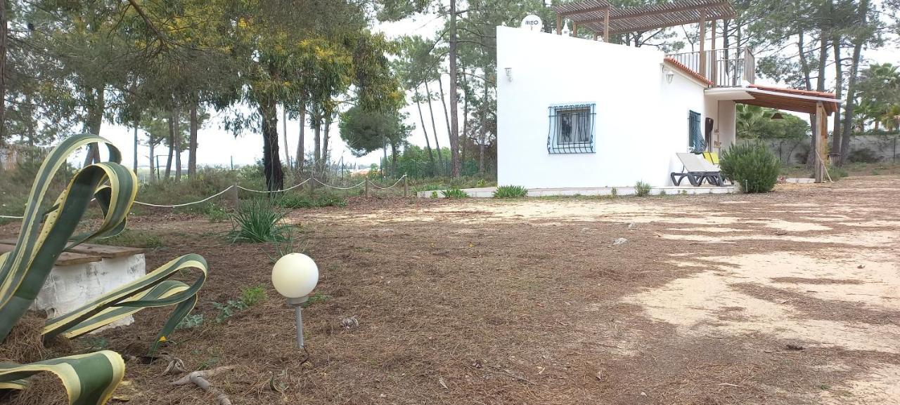 Casa Do Pinheiro - Parque Natural Da Ria Formosa. 타비라 외부 사진