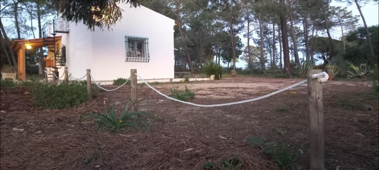 Casa Do Pinheiro - Parque Natural Da Ria Formosa. 타비라 외부 사진