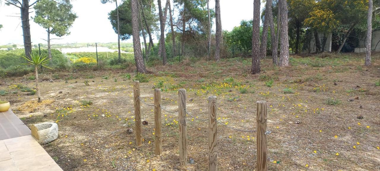 Casa Do Pinheiro - Parque Natural Da Ria Formosa. 타비라 외부 사진