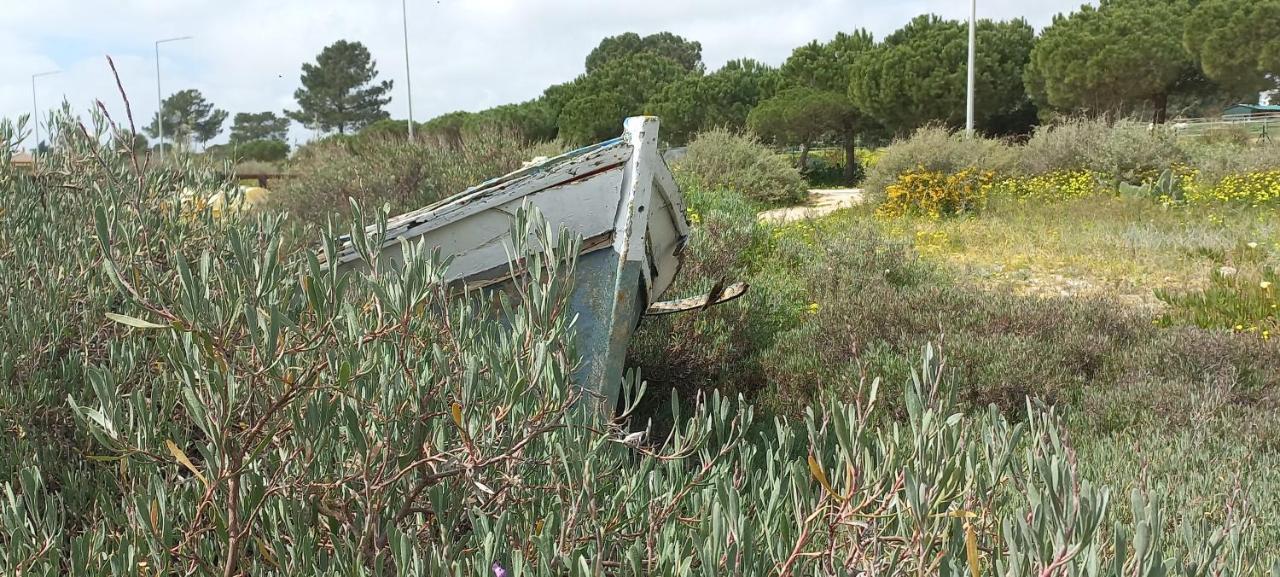 Casa Do Pinheiro - Parque Natural Da Ria Formosa. 타비라 외부 사진