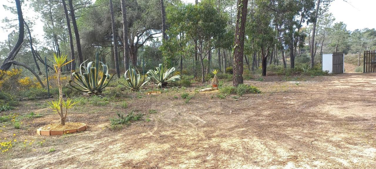 Casa Do Pinheiro - Parque Natural Da Ria Formosa. 타비라 외부 사진