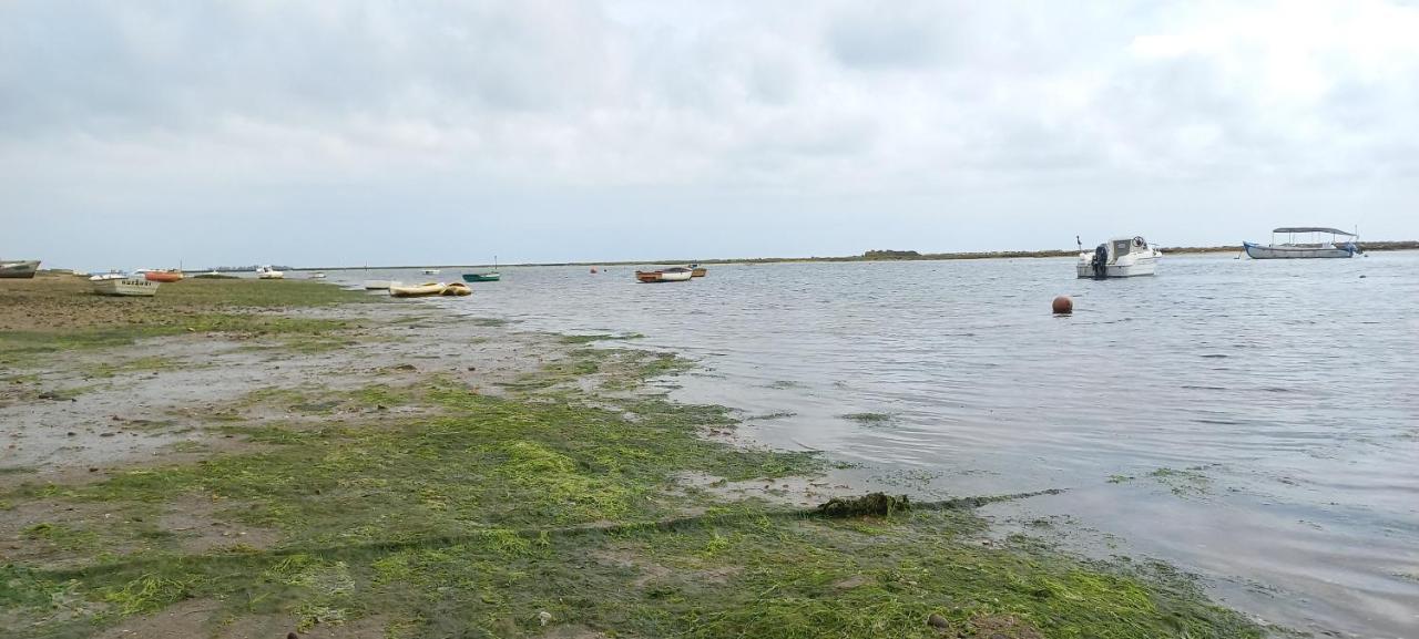 Casa Do Pinheiro - Parque Natural Da Ria Formosa. 타비라 외부 사진