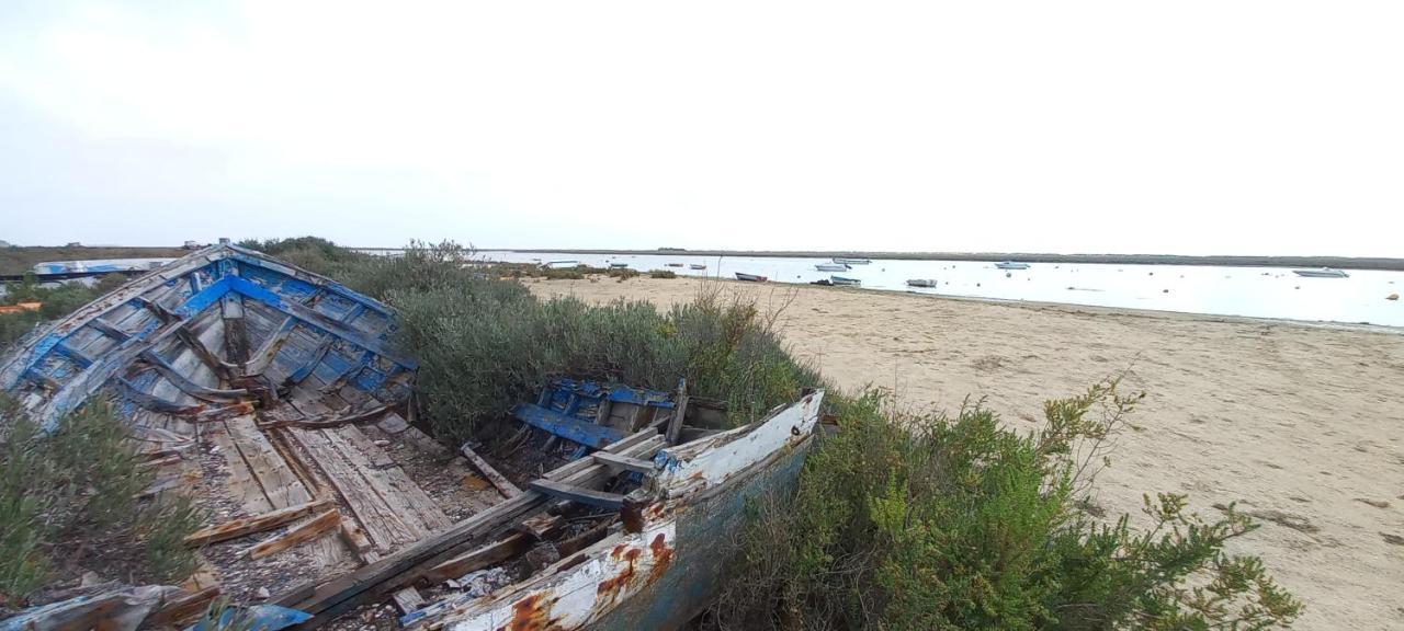 Casa Do Pinheiro - Parque Natural Da Ria Formosa. 타비라 외부 사진