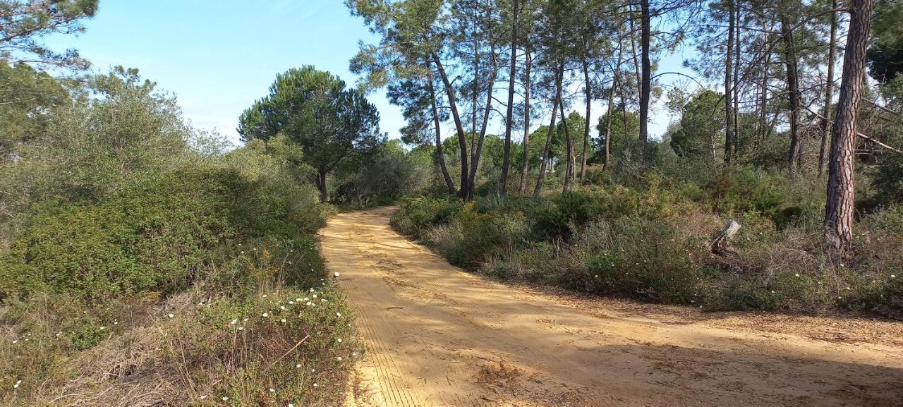 Casa Do Pinheiro - Parque Natural Da Ria Formosa. 타비라 외부 사진