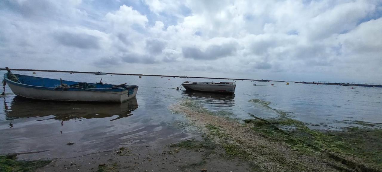 Casa Do Pinheiro - Parque Natural Da Ria Formosa. 타비라 외부 사진