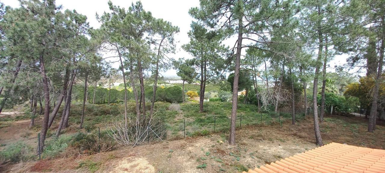 Casa Do Pinheiro - Parque Natural Da Ria Formosa. 타비라 외부 사진